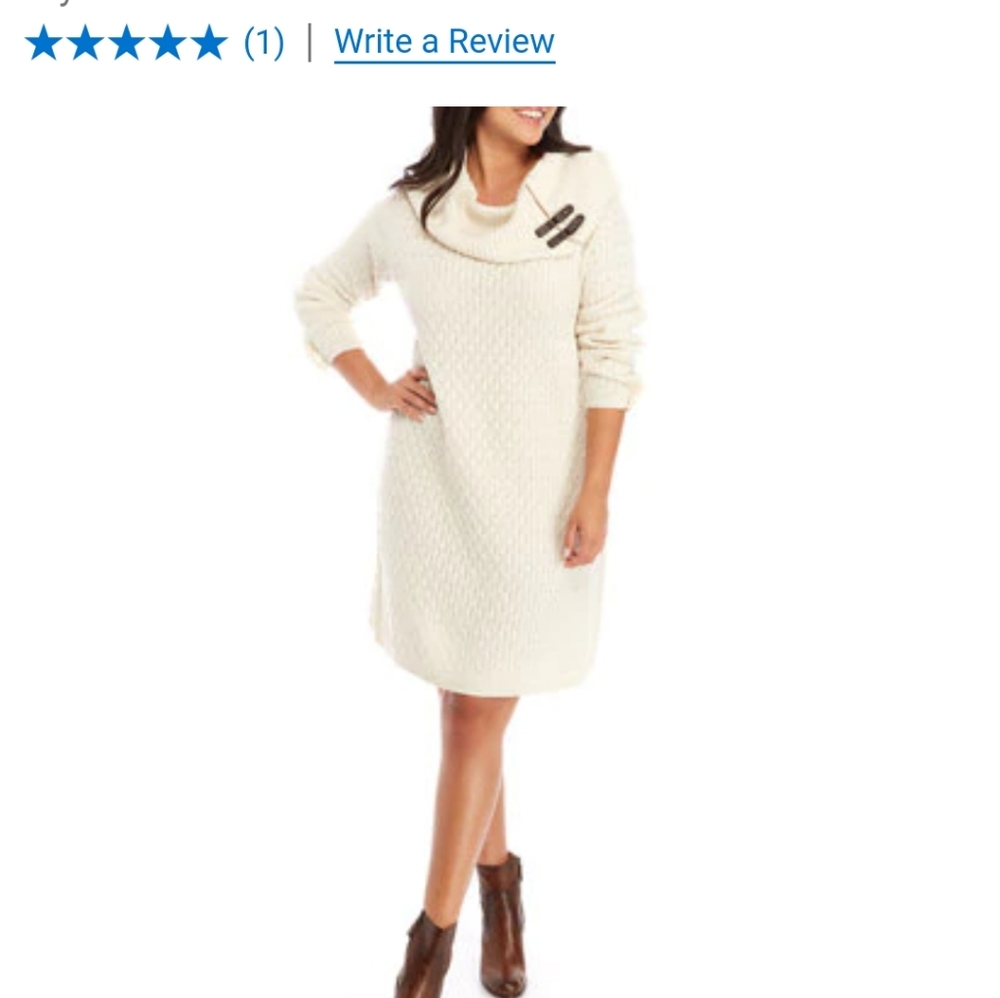 Sandra Darren Plus Size Turtleneck Sweater Dress